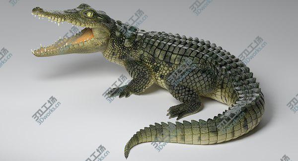 images/goods_img/20210312/Crocodile 3D/2.jpg